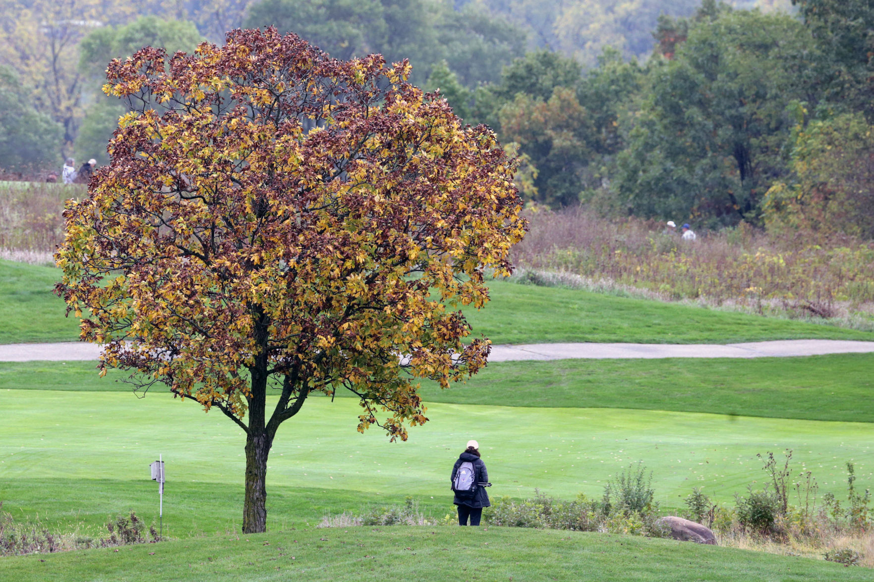 1001221_stategolf_05-10122021183528